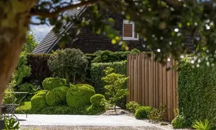 Location d'engin TP Dinard-5